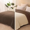 Exclusivo Mezcla Twin Size Reversible Sherpa Fleece Blanket, Soft Plush