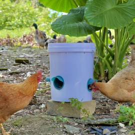 Chicken Feeders No Waste 4 Ports + Holesaw, Automatic Chicken Feeder, Rain Proof Poultry Feeder for Chickens, Duck, Geese, Birds, Quail