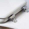 Plexon Wood Toilet Seat with Chrome Hinges, 1 Pack Elongated,