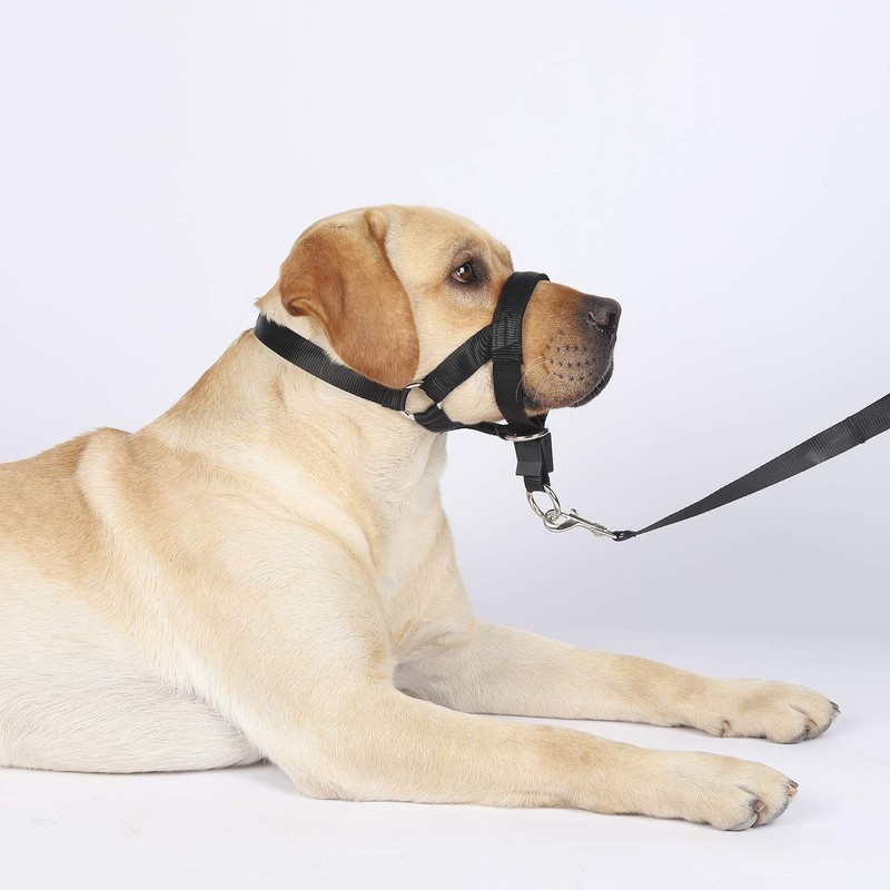 Dog Head Collar, No Pull Training Tool for Dogs on
