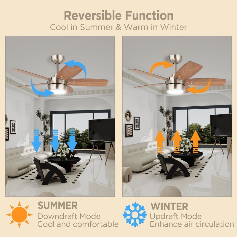 Vagizm Ceiling Fan 36'' for Small Room: Modern Ceiling Fans