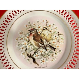 Bing & Grondahl 5 BING & GRONDAHL 6 3/4 inch Reticulated BIRD Plates Limited Ed. and Signed NEW