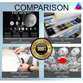 Moon Phases Poster with Fun Facts- Laminated 14x19.5 - Educational Charts, Classroom Poster and Decoration, Back to School Supplies, Learning Poster for Preschool, Kindergarten, Elementary, and Virtual Learning, Space Decor for Bedroom