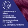 Schwarzkopf LIVE Color XXL Luminance L76 Ultra Violet Hair Colour