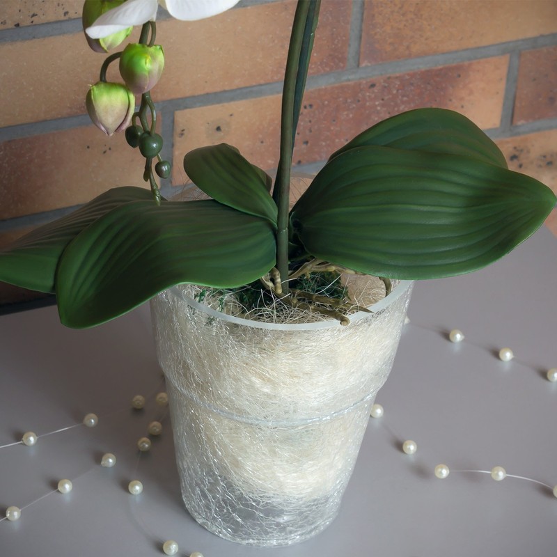 Flower Pot Orchid Pot Height 165 mm D 130 mm