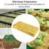 Rock Wool Cube, 50 Pieces Rock Wool Cultivation, Rock Wool