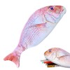 XUZOPIM 1 Piece Fish Shaped Pencil Case Novelty Fish Pencil