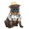 Impoosy Hawaiian Dog T Shirts Pet Summer Clothes Cat Sunglasses