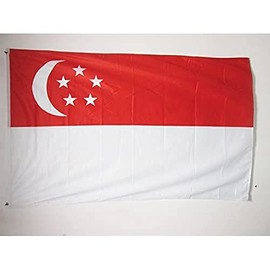Singapore Flag 3' x 5' External Use - Singaporean flags 90 x 90 cm - Banner 3x5 ft Knitted Polyester - AZ FLAG