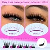 Wispy Lash Clusters Natural Lash Extensions C Curl Eyelash Clusters