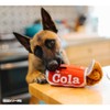 P.L.A.Y - Pet Lifestyle & You Snack Attack Collection -