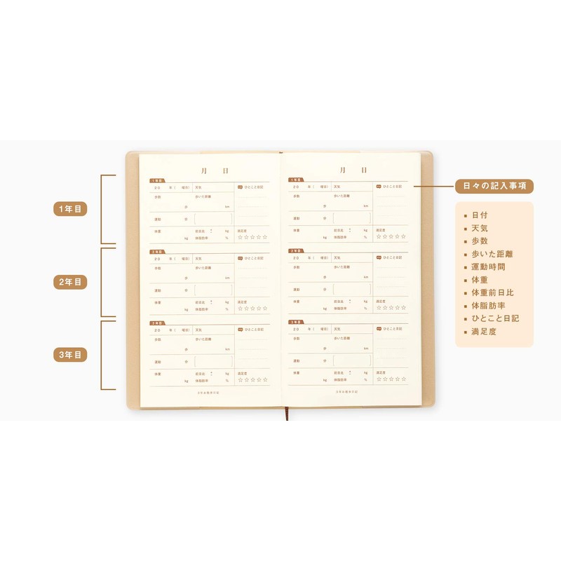 3 year walking diary