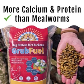 Buff Clucks Grub Fuel Black Soldier Fly Larvae for Chickens - Nutrient Packed BSFL, Sustainably Sourced Snack for Poultry, Rich in Protein, Calcium, Fiber, Essential Fatty Acids, USA Grown (5LB)