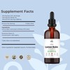 Herbity Lemon Balm Tincture – Alcohol-Free Herbal Supplement for Relaxation,