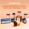 Commons Hongos Adaptógenos - Hongo Cordyceps - Extracto Puro en