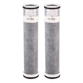 PURE-TECH Chlorine Removal Shower Head (2 Cartridge)