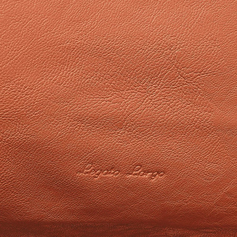 Legato Largo LG-F3041 Shoulder Bag, Washable, A5, Washable Bag, orange