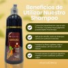 Shampoo Tinte Cubre Canas Natural Jengibre 500ml Piezas