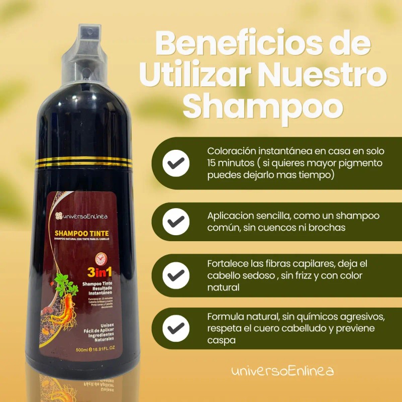 Shampoo Tinte Cubre Canas Natural Jengibre 500ml Piezas