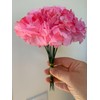 Larksilk Pink Real Touch Silk Carnation Picks - 100 Count