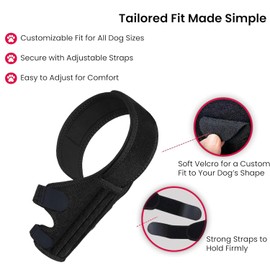Protector de Patas traseras para Perros con displasia de Cadera, Alivia el Dolor de Artritis, osteoartritis y Lesiones de ligamentos, Soporte de Neopreno Ajustable (M)