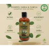 Shampoo Romero, Sábila & Canela + Acondicionador de Bergamota –