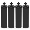 Lifefilter Replacement for BB9-2 Black Purification Water Filter, Compatible with