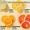 70+ Mixed Dried Citrus Slices – 4 Varieties of Dehydrated