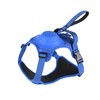Extreme Hybrid Harness in Aqua Blue - L