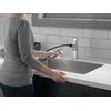 Peerless Xander Pull Out Kitchen Sink Faucet with Pull Out