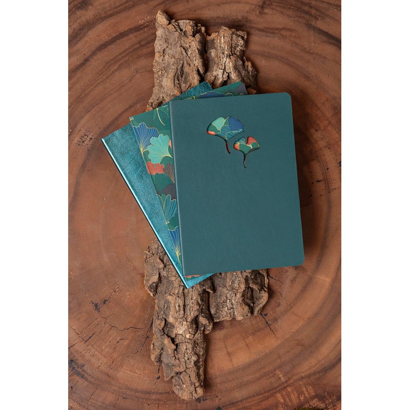 Clairefontaine Ginkgo 115949C Leather Notebook DIN A5 14.8 x 21