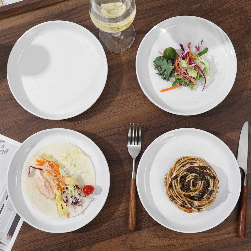 Yinshine Stoneware Dinner Plates Set of 4, 8 Inch Reactive