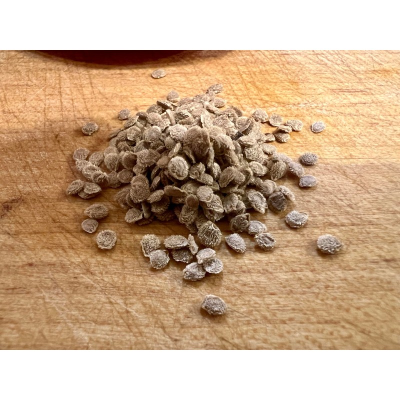 Roma VF Tomato Seeds Organic Heirloom Non GMO 250 Seeds