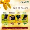 Hesh Herbal Amla Powder 100G, Brahmi Powder 100G, Shikakai Powder