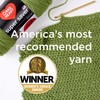 Red Heart Super Saver Ombre Navy Yarn - 2 Pack