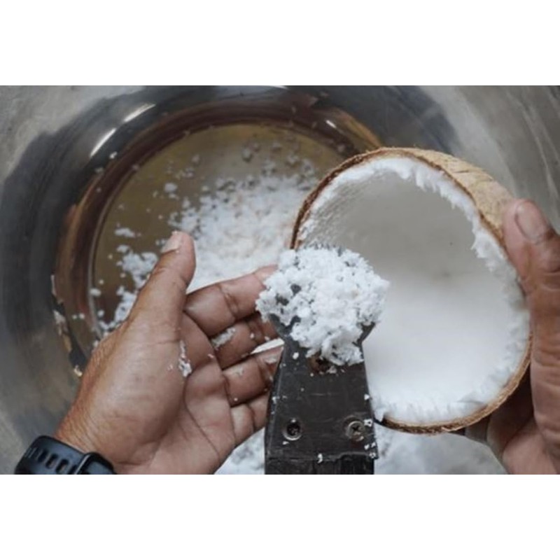 Dolphin Shop, Coconut Scraper Grater Stainless Steel Shredder Serrated Grinder