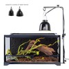 ReptiKing Reptile Lamp Stand, Adjustable Heat Lamp Fixture Stand, Terrarium