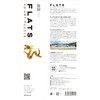FLATS Dragon 133 Yellow Cardboard Craft Kit