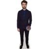 Daniel Radcliffe (Checkered Suit) Mini Size Cutout