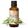 Eucalyptus Essential Oil, 1.7 fl oz (50 ml), Pure &