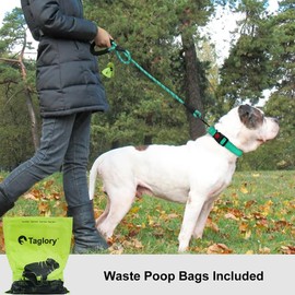 Taglory Rope Dog Lead with Soft Padded Handle, 1.5 m Reflective Lead and Multi-Colour for Medium Large Dogs, 1.2 cm, Turquoise