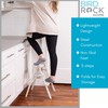 BIRDROCK HOME 2 Step Compact Steel Step Ladder - Sturdy