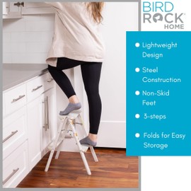 BIRDROCK HOME 2 Step Compact Steel Step Ladder - Sturdy Thin Folding Stool - Anti-Slip Steps - Great for Your Kitchen, Pantry, Closets, or Home Office - Indoor Stool - Silver (2 Step)