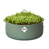 elho Magic Microgreens 17 - Sprouting Kit - Ø 16.8
