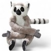 Carl Dick Katta, Lemur with Velcro on hand and foot