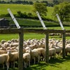 18 Pack Barbed Wire Extension Arms for Wooden Fence Posts,