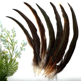 THARAHT 50PCS Rooster Coque Tail Feathers Bulk Natural 14-16Inch 35-40cm for Crafting Wedding Gras Masquerade Party Performances DIY Decoration Rooster Tail Feather,Natural