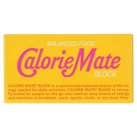 大塚製薬 カロリーメイトブロックメープル味 40g