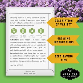 Creeping Thyme Seed for Planting - 1 Packet with Instructions to Plant and Grow Resilient Ground Cover in Your Home Garden - Non-GMO Heirloom - Survival Garden Seeds