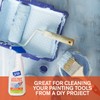 Lift Off 99614 DIY Make-Over Kit Includes Latex Paint Remover,